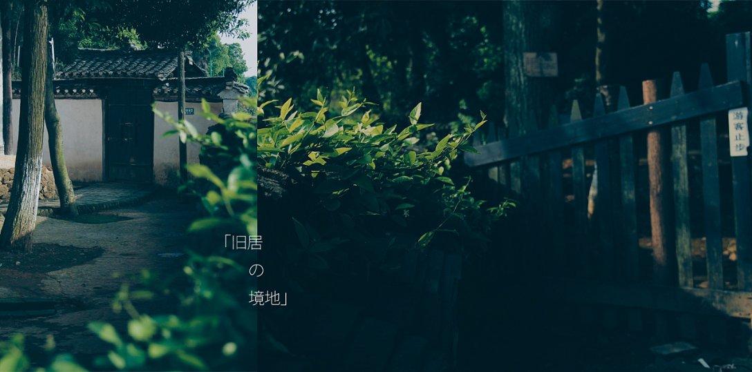 加勒比巡航